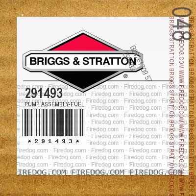 Briggs Stratton 291493 Pump Assembly Fuel Firedogcom - 